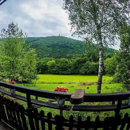 - Nocitve Falco Apartment